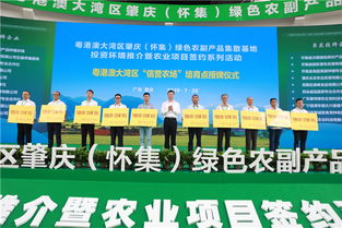 28宗項目投資381億,懷集農(nóng)副產(chǎn)品基地或成 中央廚房